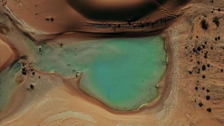 HOLISTIC EGYPT Aerial view of a desert oasis pool in Siwa, Egypt