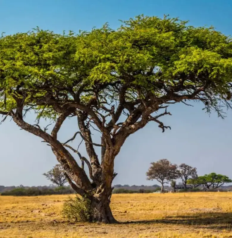 shutterstock_1089364364-1024x683